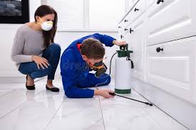 Best Residential Pest Control  in Tubac, AZ