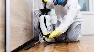 Best Pest Control for Multi-Family Homes  in Tubac, AZ